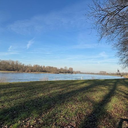 Ferienhaus Hoffmann Am Rheinbogen Altlussheim Luaran gambar