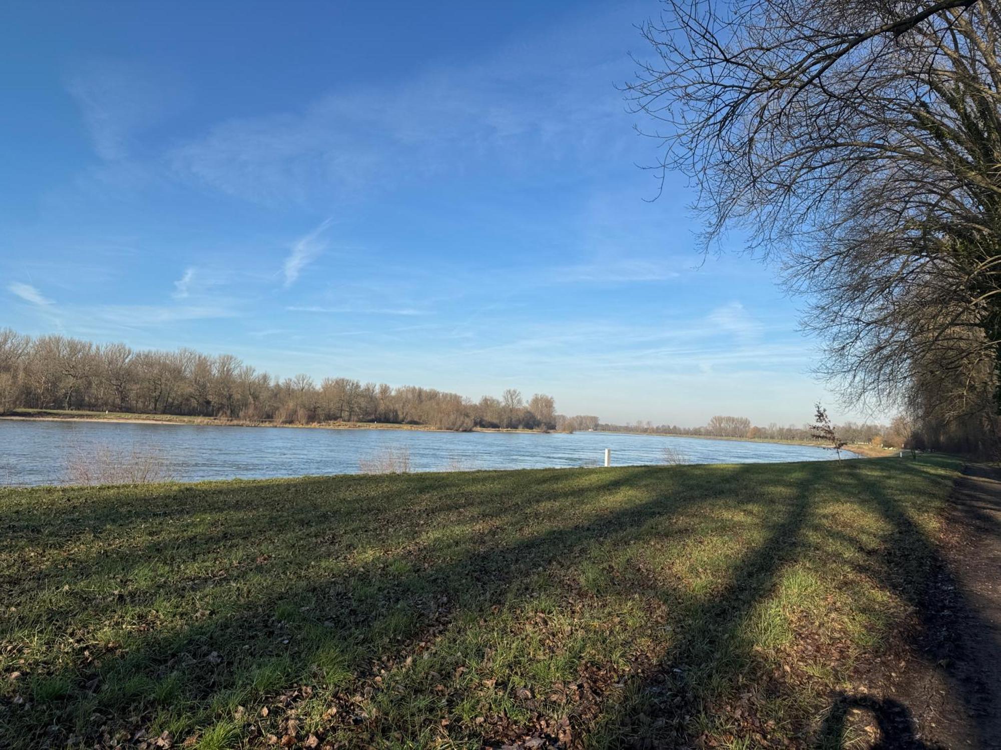 Ferienhaus Hoffmann Am Rheinbogen Altlussheim Luaran gambar